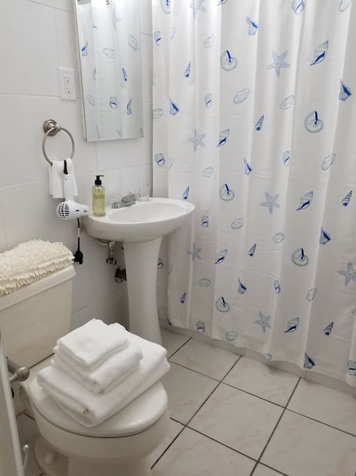 Fully updated bathroom