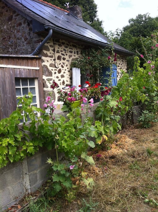 Front of house from the road