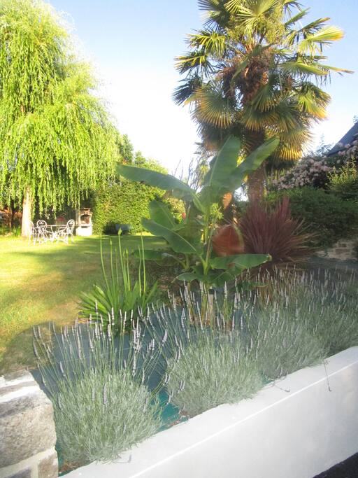 jardin zen