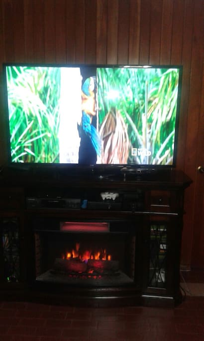 Area de tv y chimenea