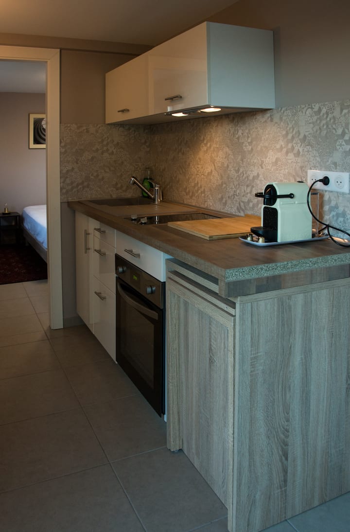 Logement Entier.studio Cosy. - Altkirch