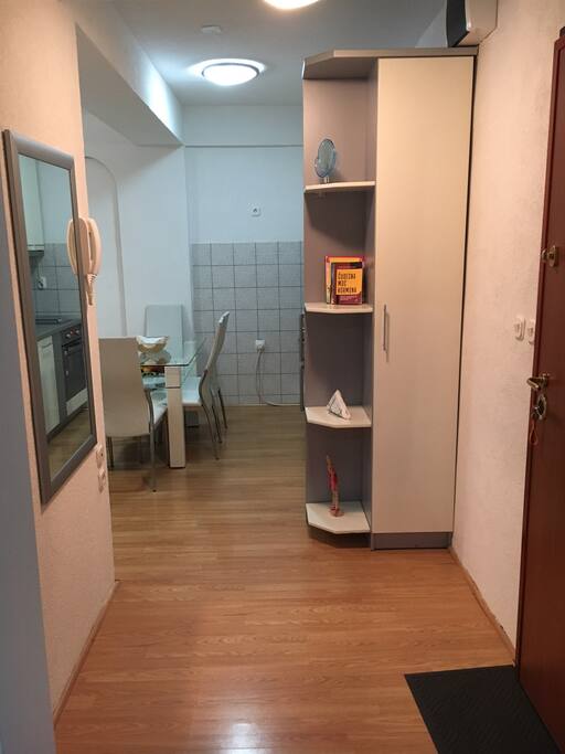 Entrance of the appartment