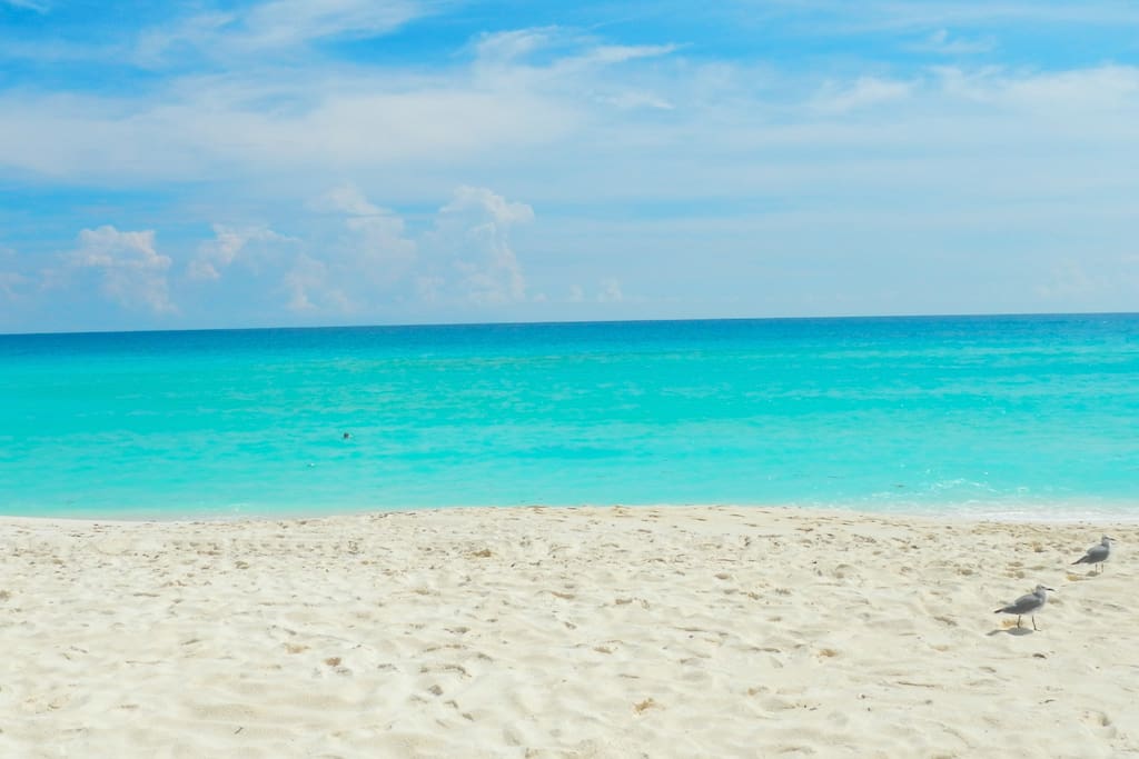 Turquoise Warm & Clear Crystal Water
