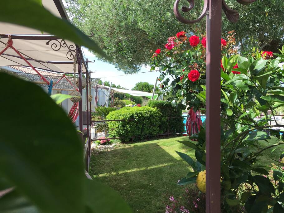 Jardin fleuri