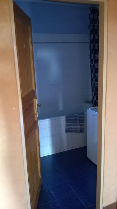 Shared bathroom; toilet is separate. There is another toilet with a sink downstairs
