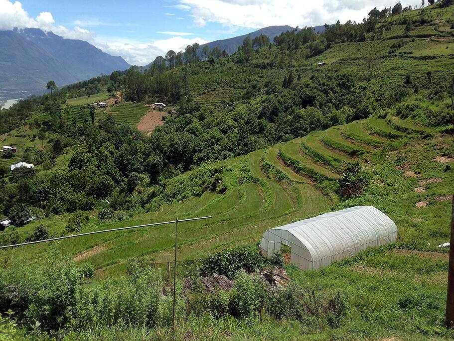 the farm view