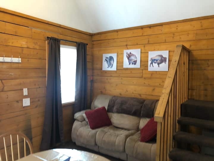 Cabin #4 (Also Offer Kenai River Fishing Charters) - Kenai, AK
