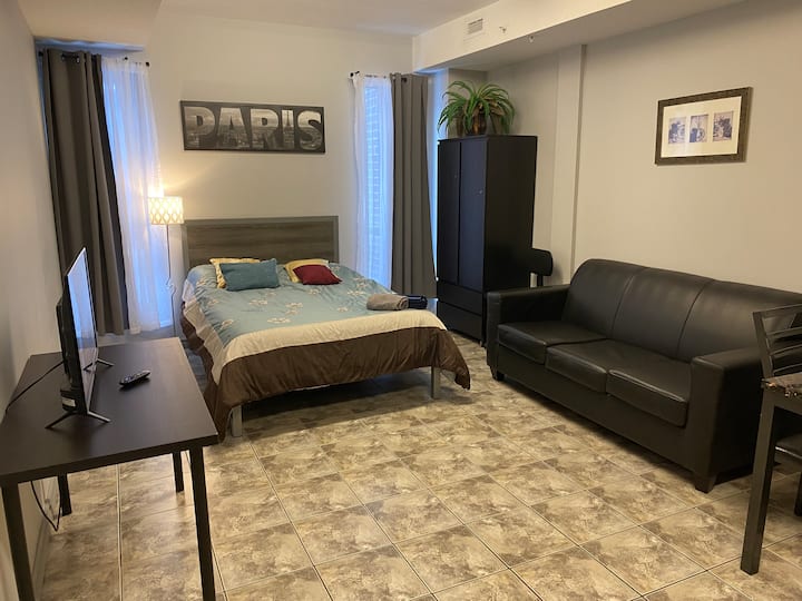 Entire Studio by UW/WLU Prof ManagedLD8 Condominiums for Rent in