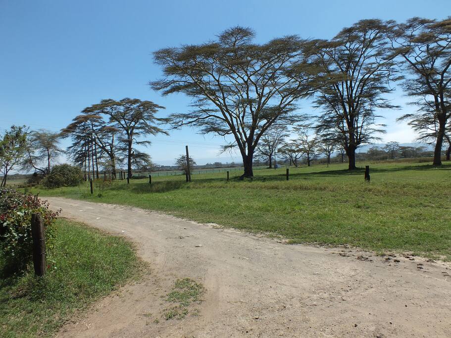 The view and farm to walk in and enjoy