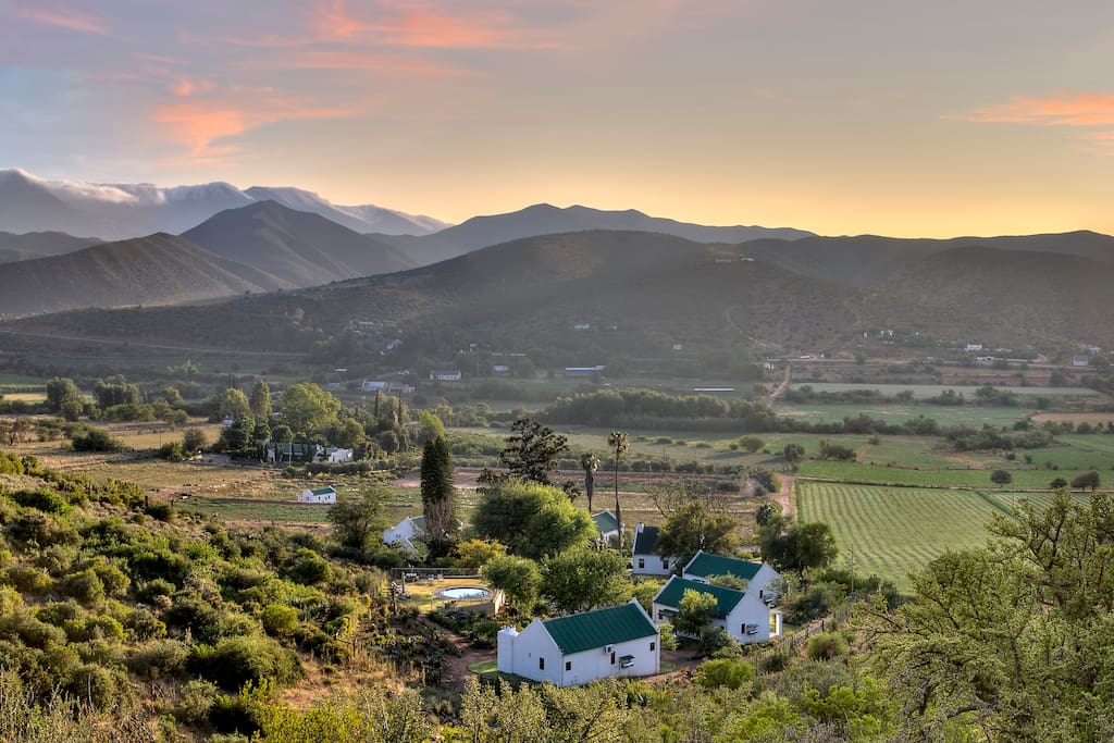 Berluda View