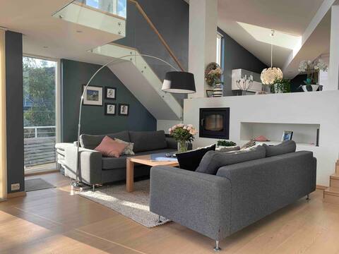 Modern house for 2 families