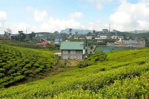 #Sarah Cottage - Tranquility midst Tea Fields