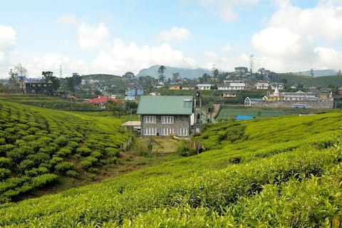 #Sarah Cottage - Tranquility midst Tea Fields
