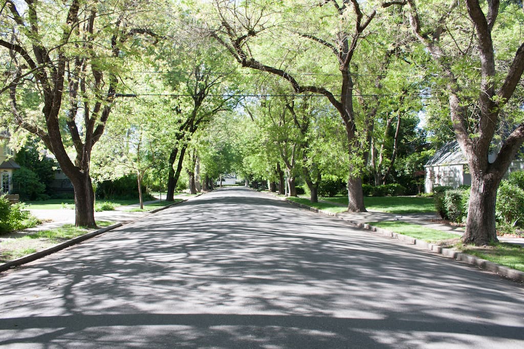 Wonderful Tree Lined Street. Walk to UCD, farmer's market and downtown