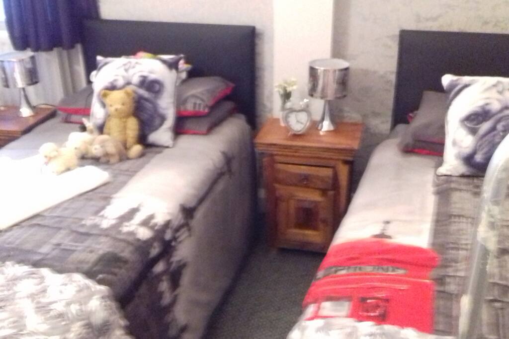This Is the Twin Room