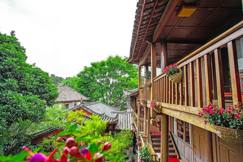 庭院