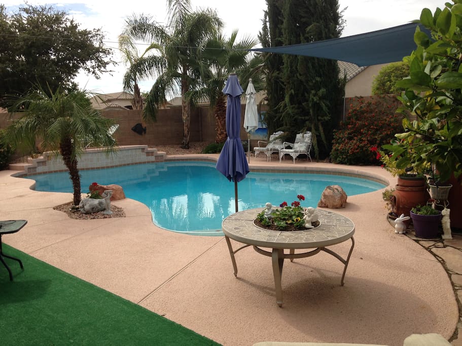 Backyard Pool