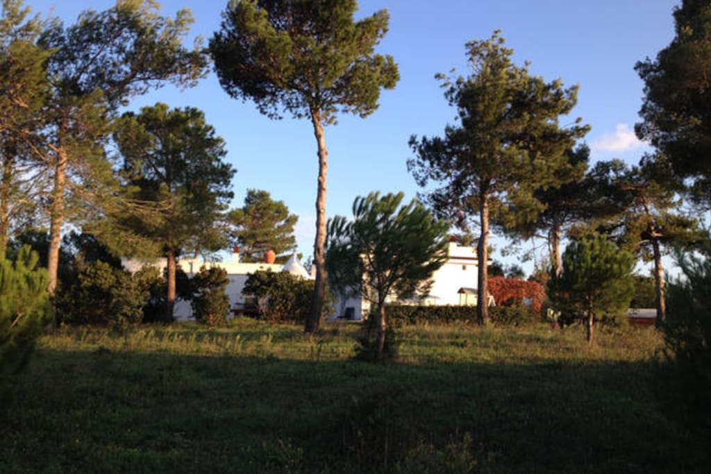 La Quiete