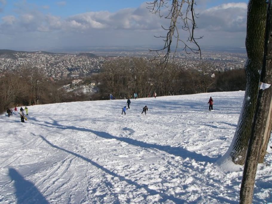 Normafa toboggan run, 10 minutes by bus from the apartment