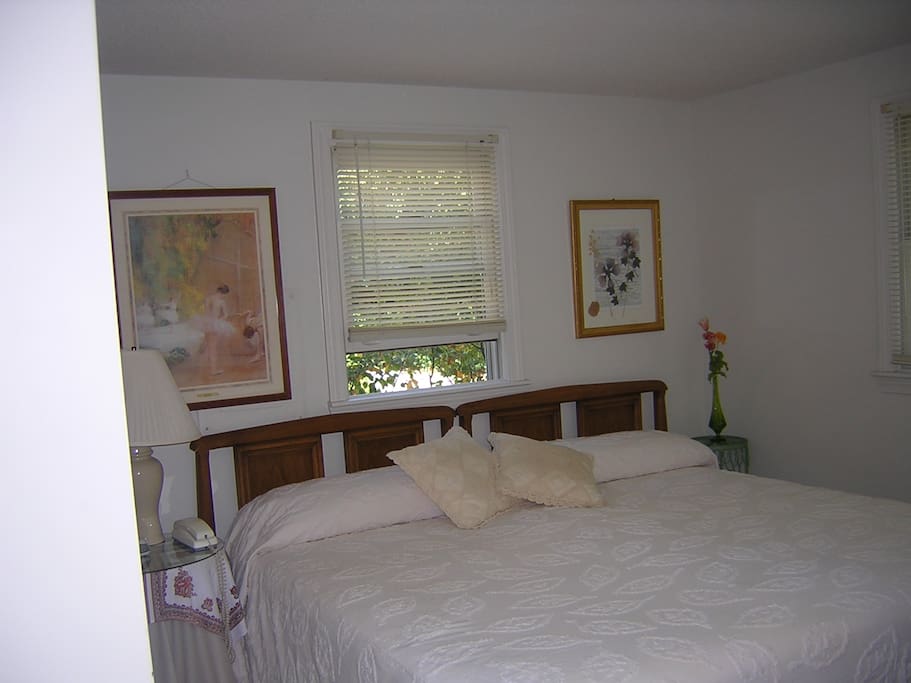 2 Twin Beds (or Modified King) in the bedroom