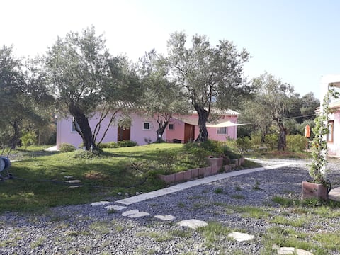 A-holidayhome matthaeus -3P Corfu trail 2km to sea