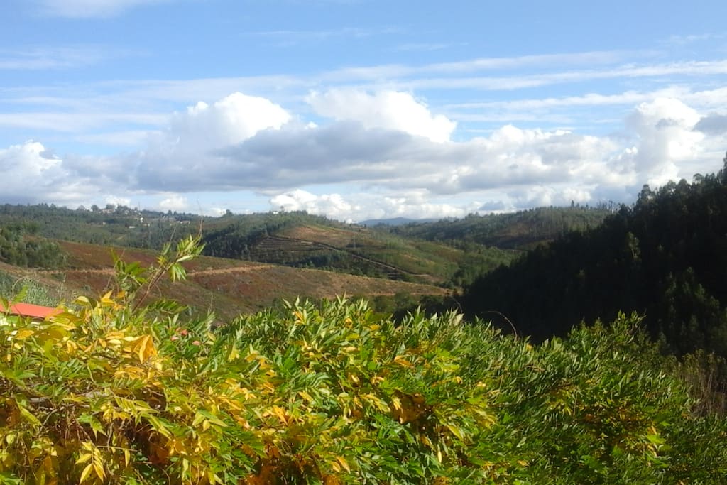 Stunning views from our house.