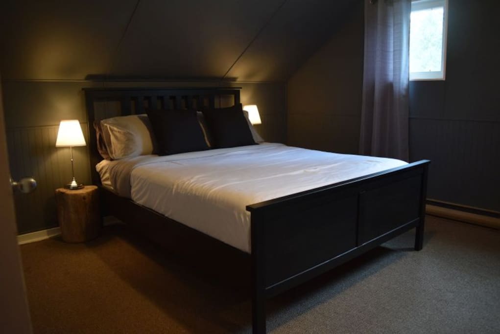 Medium sized bedroom with a step in closet