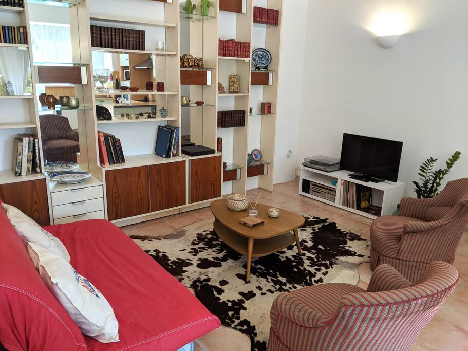 Salon cosy avec canapé lit et tout le confort (audio bluetooth, platine vinyle, tv, internet)