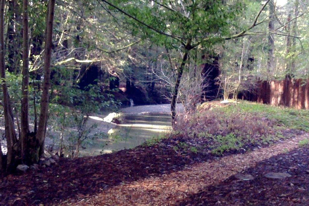 Waterfalls, Creek, Trees, Nature.