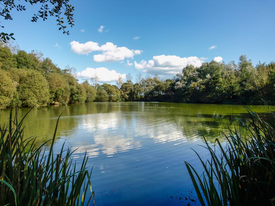 Take in beautiful views of the lake from your lounge or step out onto the deck to enjoy the fresh air