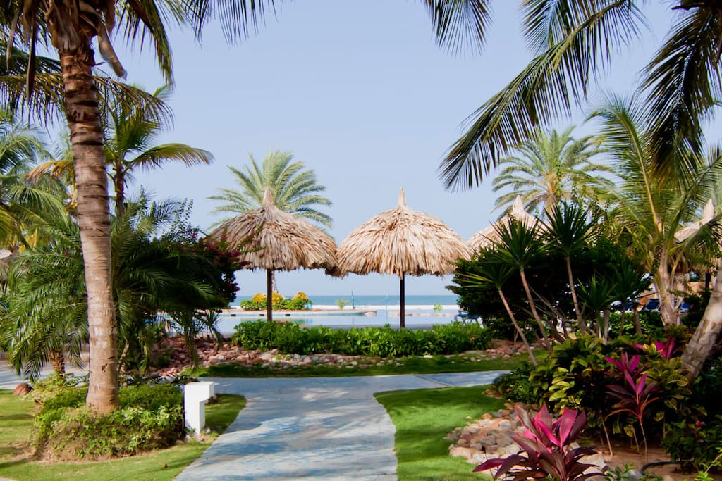 Exotic gardens