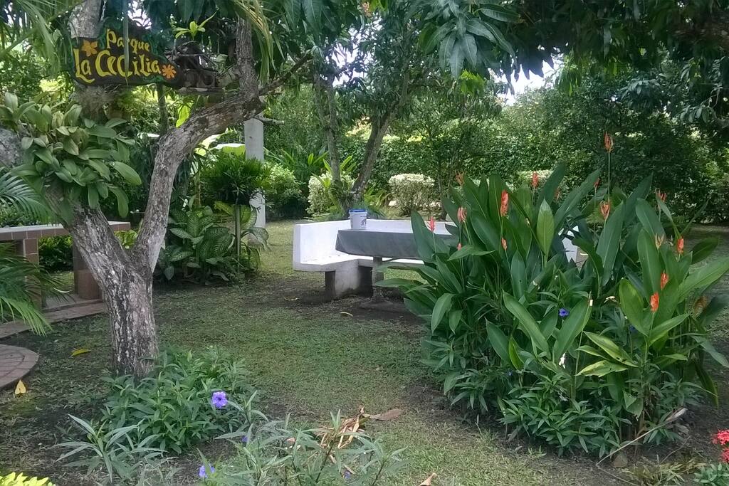 Lindos jardines
