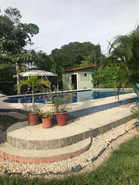 The outdoor area features a spacious swimming pool surrounded by palm trees and lush greenery. Flower pots adorn the poolside, contributing vibrant colors to the scene. A small building is visible in the background, enhancing the natural ambiance of the space.