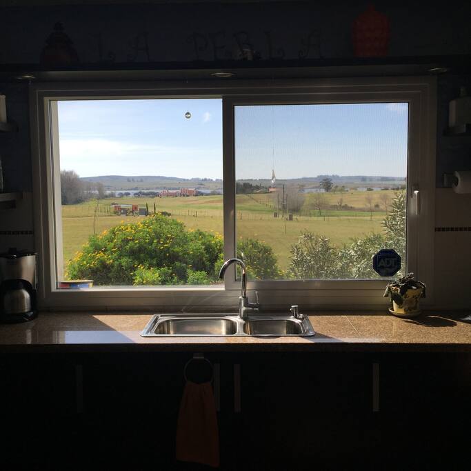 View from Kitchen Window