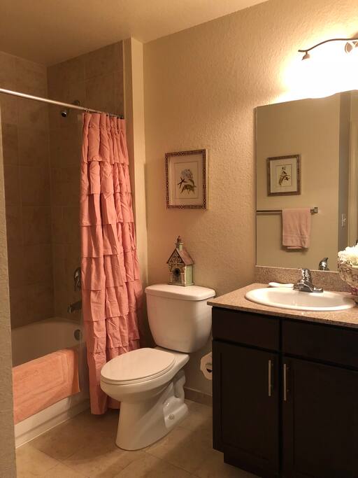 Guest bathroom