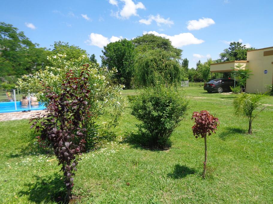 una hectarea de parque