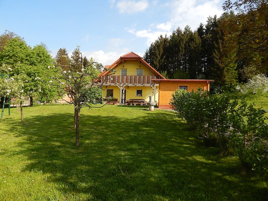 A big lawn in fron ot the house