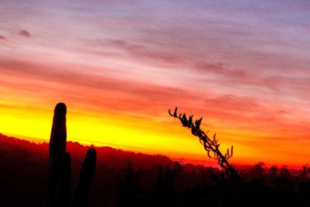 Amazing sunsets