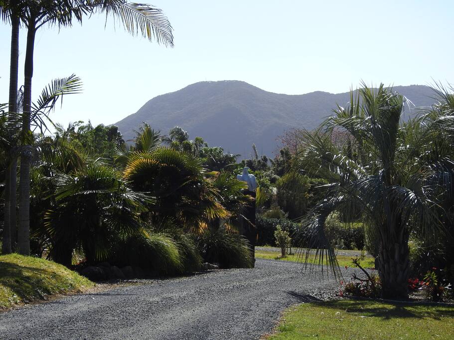 mt Camel from cottage patio