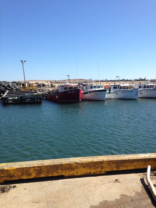 fishing port at 2 minute walk