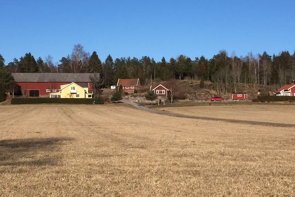 View of the farm from the road
