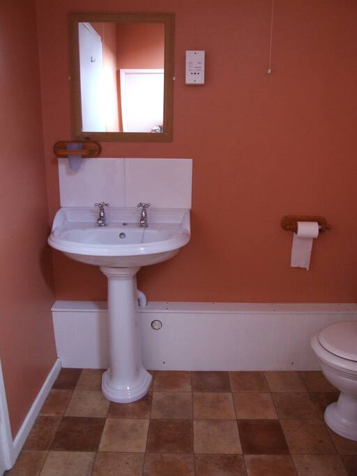 Bathroom - wash hand basin, toilet, bath with hand held shower