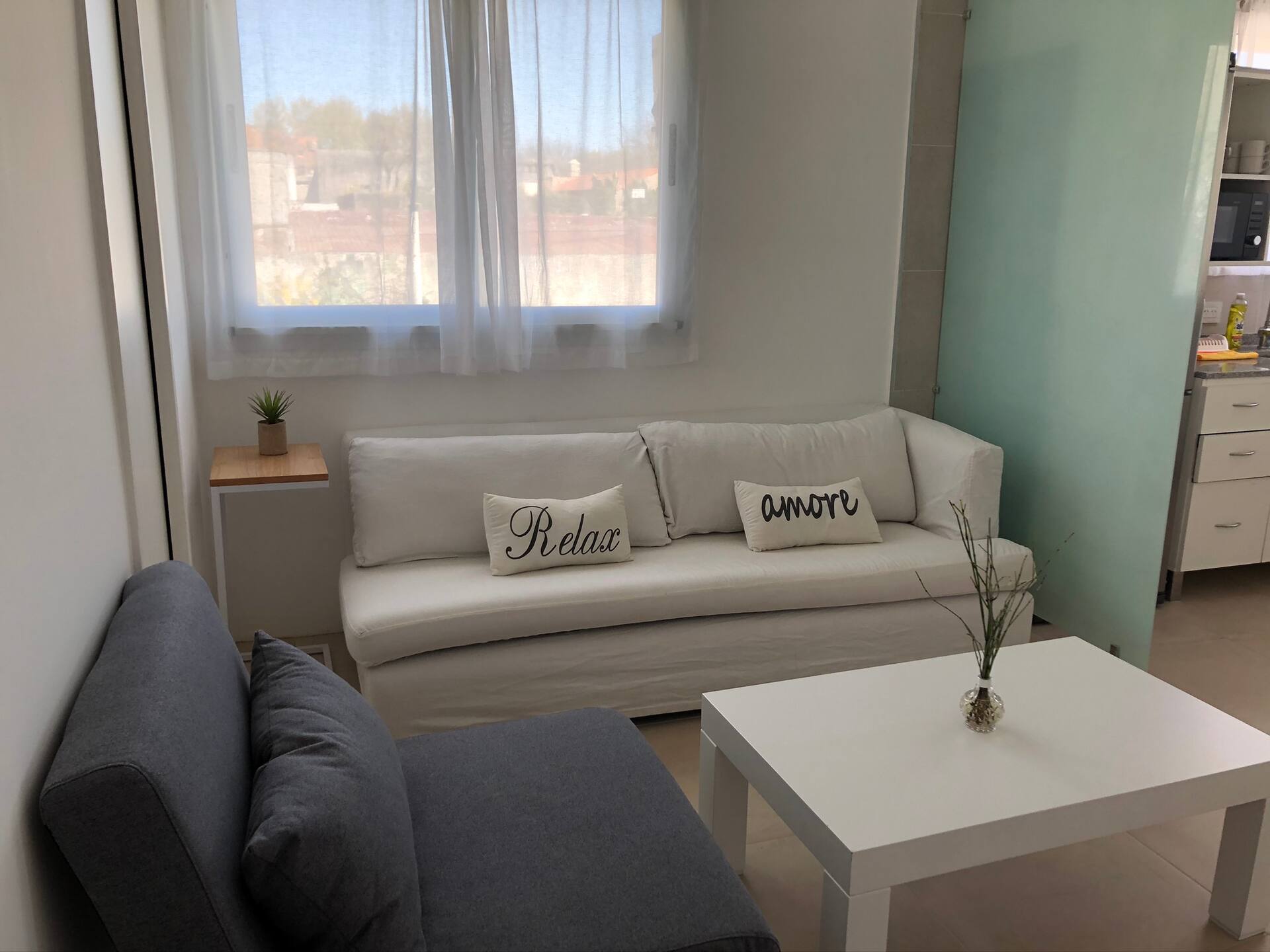 Temporary Rental of Penthouse-Type Apartment