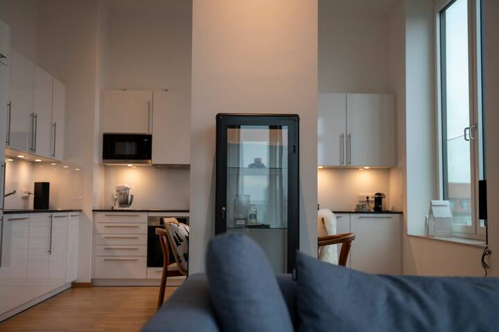 Neue Loftartige Wohnung Berlin Mitte Humboldthafen Wohnungen Zur Miete In Berlin Berlin Deutschland