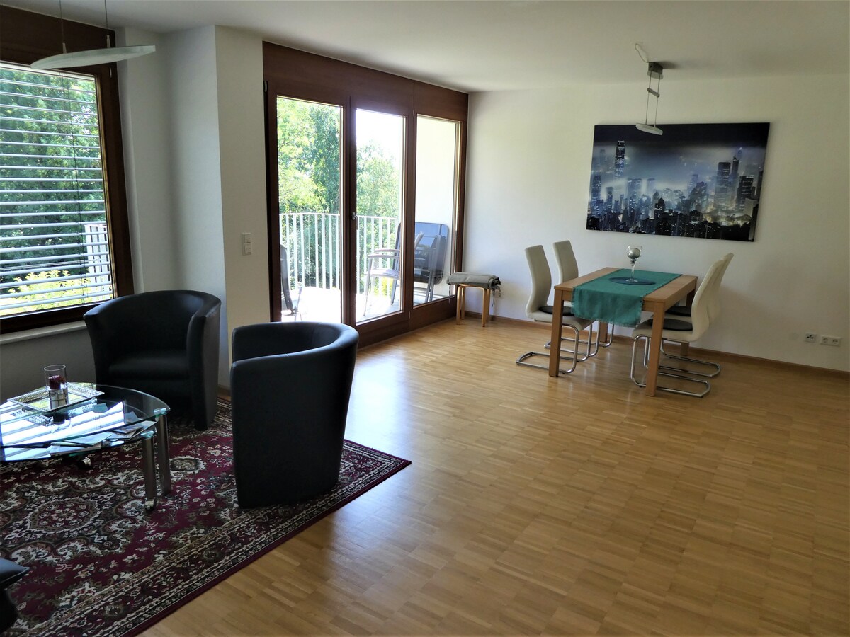 Proprietà Airbnb di successo: Basel view. Large modern apartment in a quiet south-facing location a Lörrach