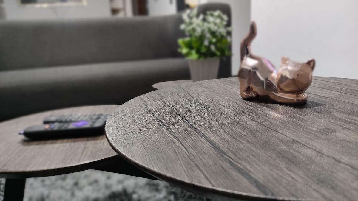 A wooden coffee table features a sleek, circular design, accompanied by a smaller side table. A decorative cat figurine sits atop the main table, complemented by a remote control. In the background, a gray sofa and a potted plant enhance the cozy living area.