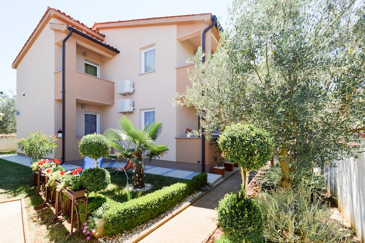 Apartman Mit-mir*** ( A4 ) - Pula