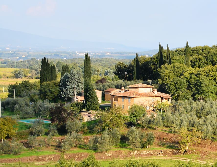 Bòggina from the vineyards