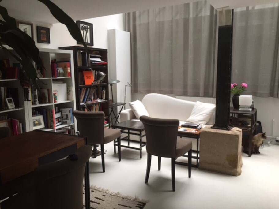 Pièce principale, canapé,table, bibliotheque