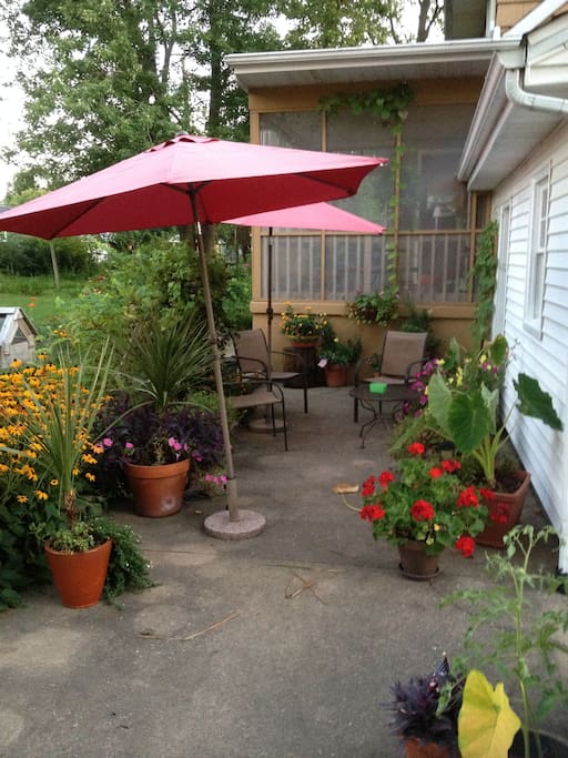 Back patio